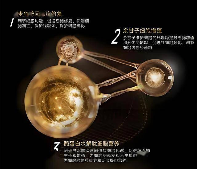 第一次五部门联合举措！重庆开展河湖保养保护专项执法举措 每日简讯